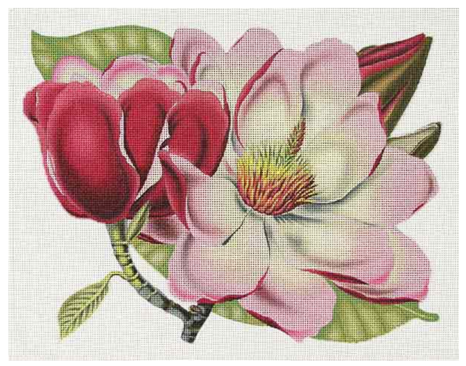 1989 Pink Magnolia