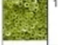 5MM #11 Dark Chartreuse