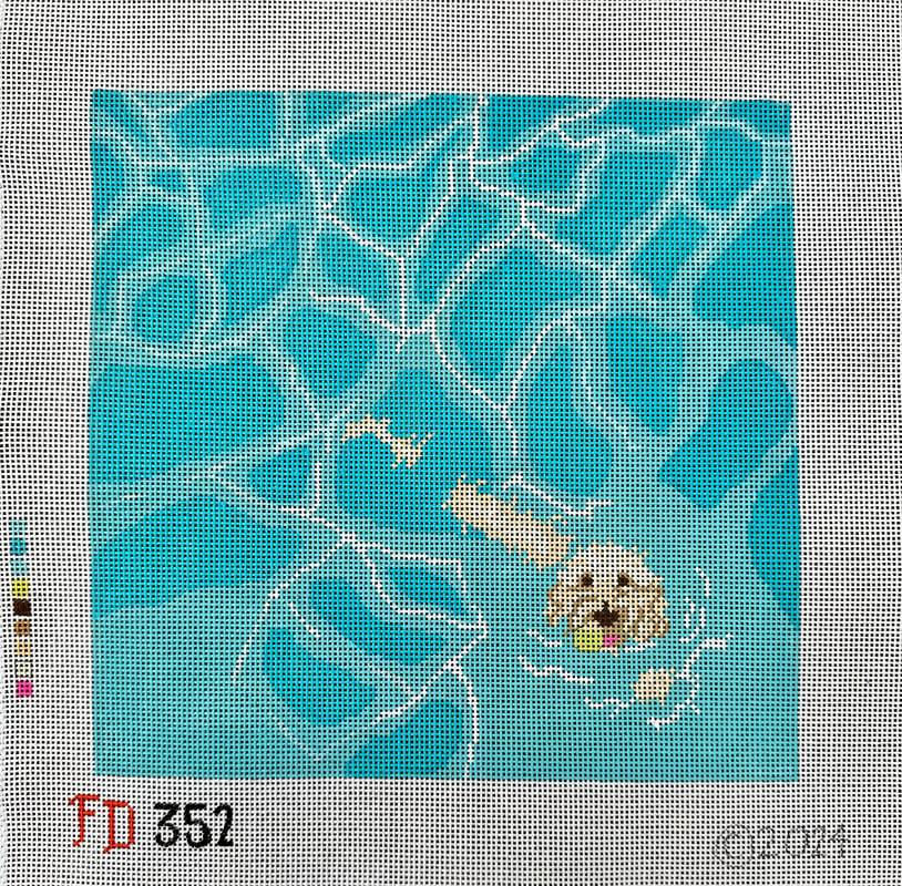FD352 Labradoodle Pool Fetch