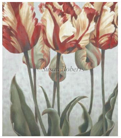 TTAP411 Asiatic Tulips