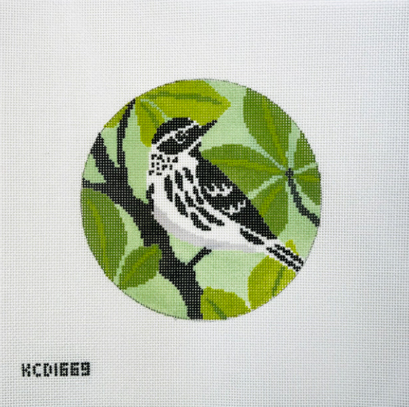 KCD1669 Black and White Warbler