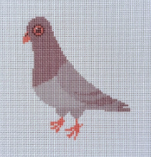 ZS-243 NYC Pigeon Printed Canvas